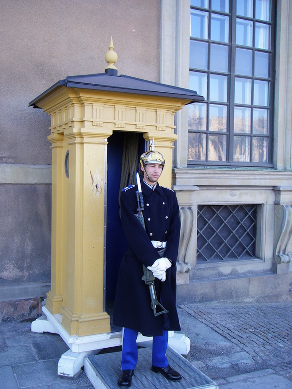 Picture
