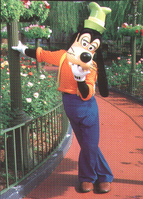 Picture