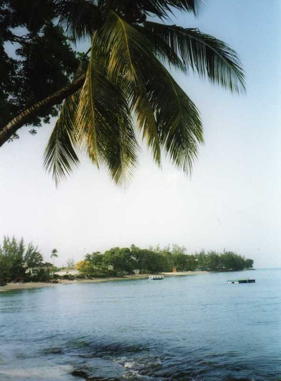 Picture