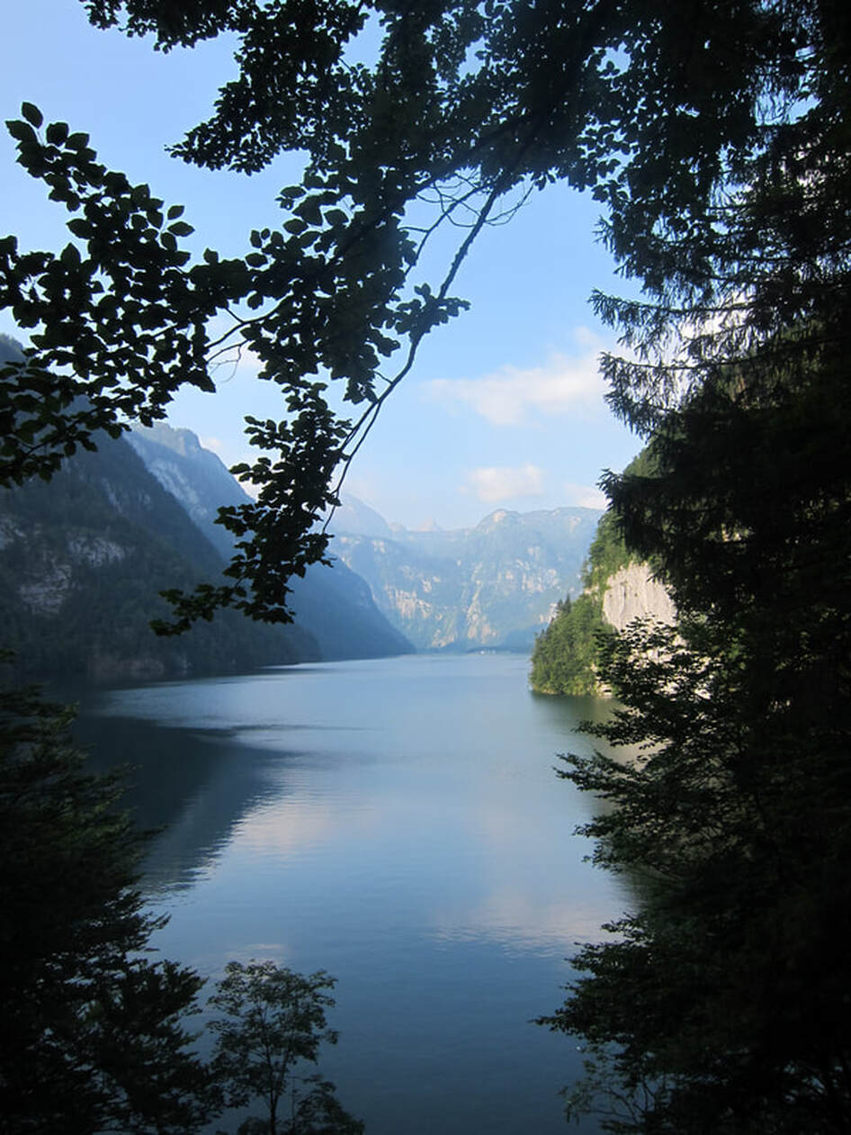 Picture