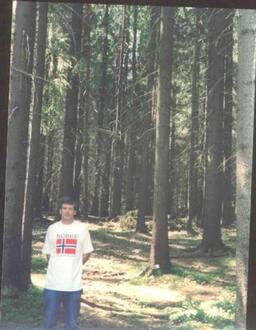 Picture