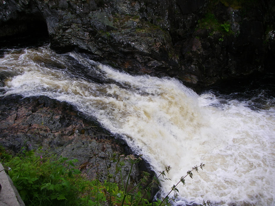 Picture